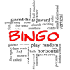 Bingo Chat