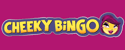 cheeky bingo