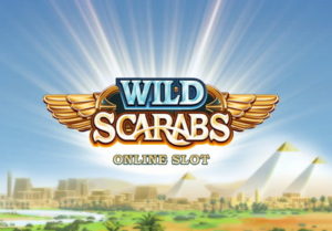 wild scarabs